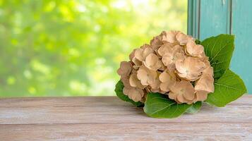 Dried Hydrangea Bouquet on Rustic Wooden Table Green Background photo
