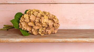 Dried Hydrangea Bouquet on Rustic Wooden Shelf Pastel Pink Background photo