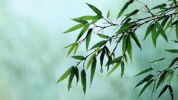 Serene Bamboo Leaves in Gentle Rain Tranquil Nature Scene Lush Green Foliage photo