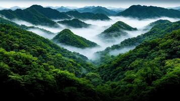 Lush Green Mountain Range Enveloped in Mist Serene Nature Landscape Photography photo