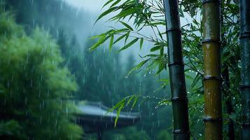Tranquil Bamboo Forest in the Rain Serene Nature Scene with Lush Greenery and Water Droplets photo
