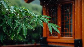 Rain Soaked Lush Green Leaves in the Downpour Near a Wooden Structure photo
