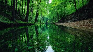 Serene Green Forest River Reflection Tranquil Nature Scene with Crystal Clear Water and Lush Foliage photo