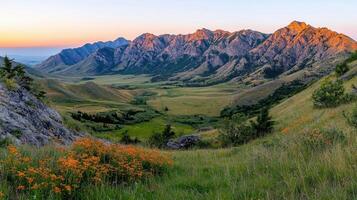 Majestic Sunrise Mountain Range Panorama Wildflowers Grassland Valley photo