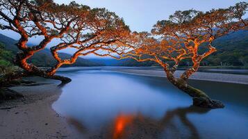 Serene Sunset Landscape Two Majestic Trees Overlooking Calm River and Mountains photo