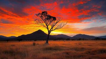 Dramatic Sunset over Mountains and Grassland with Lone Tree Silhouette photo