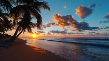 Stunning Tropical Sunset on Sandy Beach with Palm Trees and Ocean Waves photo