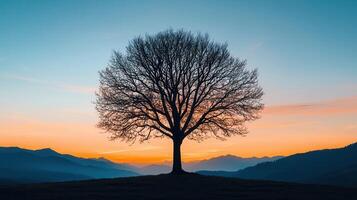 Majestic Silhouette of a Leafless Tree at Sunset Over Serene Mountain Range photo