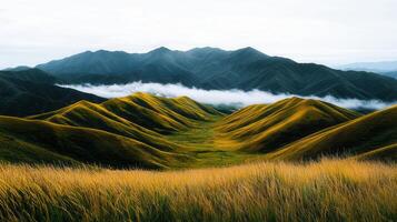 Serene Landscape Rolling Golden Hills and Majestic Mountains with Misty Valley photo