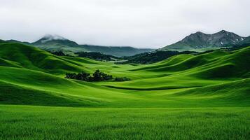 Serene Green Rolling Hills Landscape with Mountain Views Pastoral Scenery photo