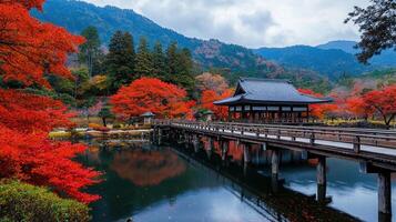 Serene Autumnal Japanese Garden with Bridge Pavilion and Vibrant Maple Trees photo