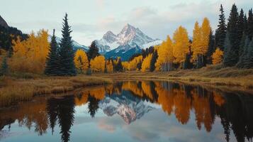 Stunning Autumnal Mountain Lake Reflection Golden Aspens and Snow Capped Peaks photo