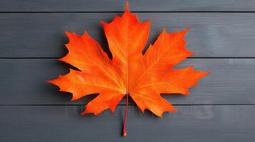 Vibrant Orange Maple Leaf on Dark Grey Wooden Background Autumnal Fall Foliage Photography photo