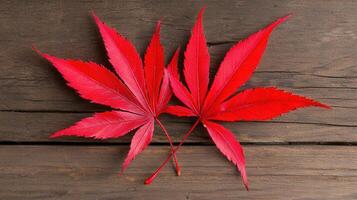 Vibrant Red Japanese Maple Leaves on Rustic Wooden Background Autumn Nature Photography photo