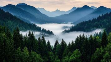 Majestic Mountain Valley Landscape Foggy Forest Sunrise Over Peaks photo