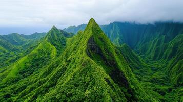 Lush Green Mountains Tropical Rainforest Aerial View Dramatic Peaks Island Landscape photo