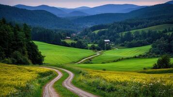 Serene Winding Country Road Through Lush Green Rolling Hills and Fields of Wheat photo