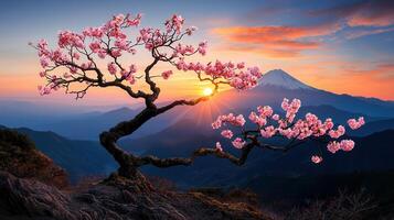 Stunning Sunrise over Mountain Range with Cherry Blossom Tree in Bloom photo