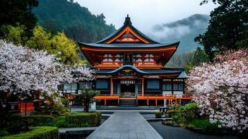 Serene Japanese Temple Amidst Blooming Cherry Blossoms and Misty Mountains photo
