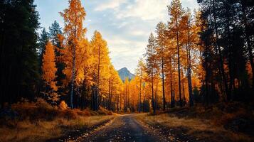 Majestic Autumnal Forest Path with Golden Larch Trees and Mountain View photo