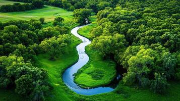 Serene Aerial View of a Winding River Flowing Through Lush Green Forest and Meadows photo