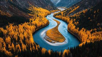 Serene Autumn River Winding Through Golden Larch Forest in Mountain Valley photo