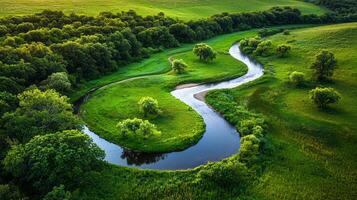 Serene Aerial View of a Winding River Through Lush Green Meadows and Forest photo