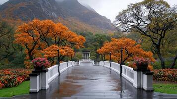 Serene Autumnal Bridge Landscape Rain Colorful Trees Mountain View photo