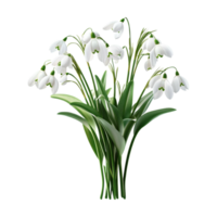 bouquet of snowdrops on a transparent background png