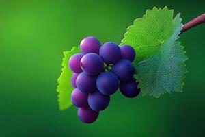 Vibrant close-up of purple grapes with green leaves on a lush background photo