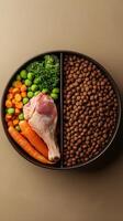 Raw chicken leg with vegetables and dog food in a divided bowl on a beige background photo