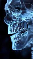 X-ray image of a human skull highlighting dental and jaw structure photo