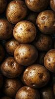 Close-up view of fresh brown potatoes on dark background photo