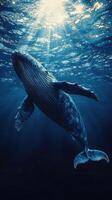 Underwater view of a humpback whale swimming in sunlit ocean waters photo