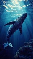 Humpback whale swimming in underwater light rays with ocean floor photo