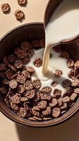 Pouring milk into a bowl of chocolate cereal for a delicious breakfast meal photo