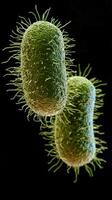 Microscopic view of bacterias with hair-like structures on a dark background photo