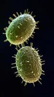 Microscopic view of a green bacteria with hair-like structures on a dark background photo
