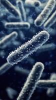 Microscopic view of bacteria in a dark blue environment photo