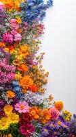 Colorful floral background with a variety of flowers in blooming arrangement photo