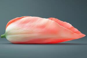 Close-up of a pink tulip petal on a gray background photo