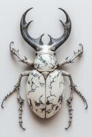 Stunningly detailed striped beetle with antler-like horns and unique textured shell photo