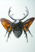 Close-up view of a large stag beetle with distinctive antlers and vibrant wings photo