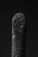 Close-up of a textured black matchstick head covered with coarse salt crystals photo