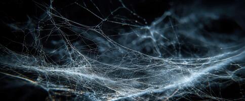 Abstract detailed spider web with intricate patterns against a dark background photo