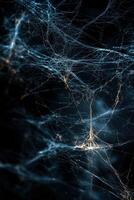 Intricate network of luminescent web-like structures against a dark background photo