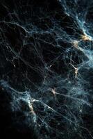 Abstract close-up of intricate spiderweb patterns against a dark background photo
