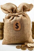 Sack of money with dollar sign tag surrounded by stacks of coins photo