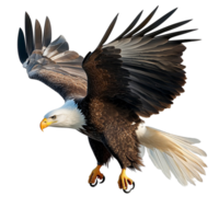 Majestic bald eagle soaring with powerful wings spread wide png