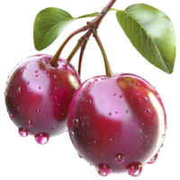 Two red cherries covered in tiny water droplets png